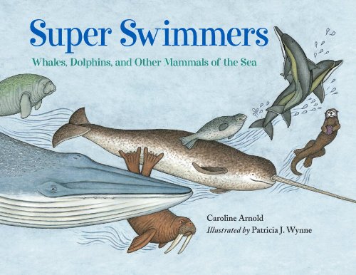 Super swimmers : whales, dolphins, and other mammals of the sea