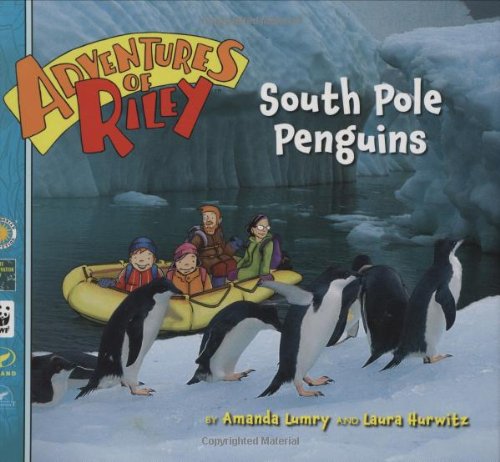 South Pole penguins