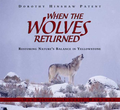 When the wolves returned : restoring nature's balance in Yellowstone