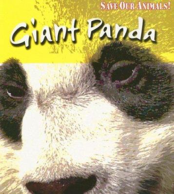 Giant panda