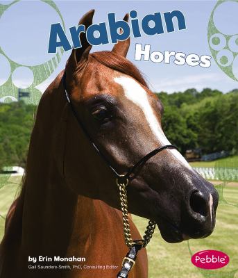 Arabian horses