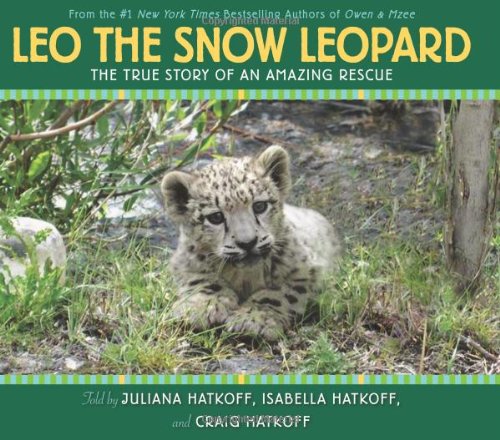 Leo, the snow leopard