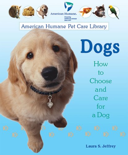 Dogs : how to choose and care for a dog
