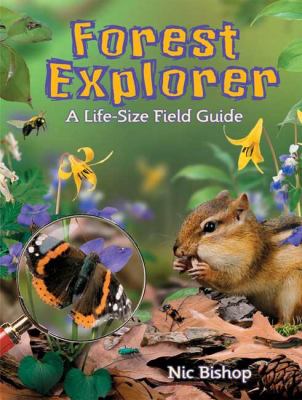 Forest explorer : a life-size field guide