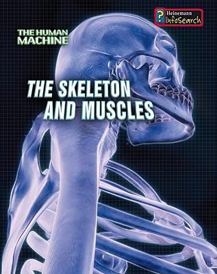The skeleton and muscles