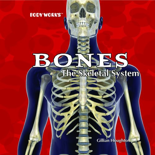 Bones : the skeletal system