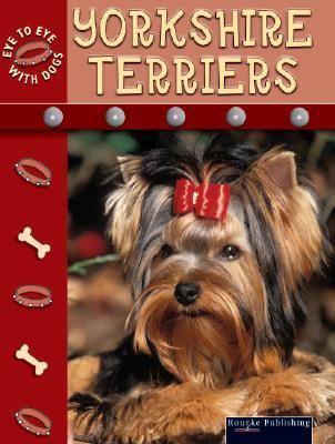 Yorkshire terriers