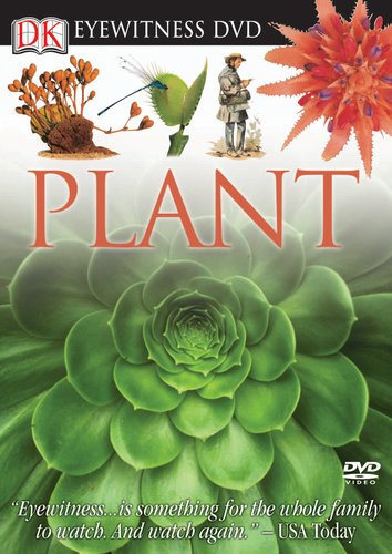 Eyewitness:  Plant