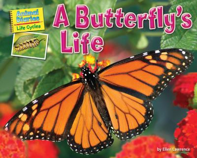 A butterfly's life /