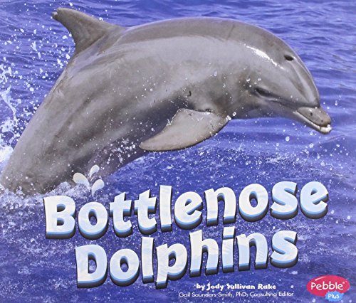 Bottlenose dolphins