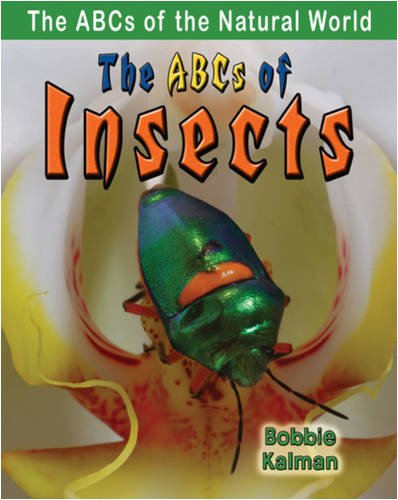 The ABCs of insects