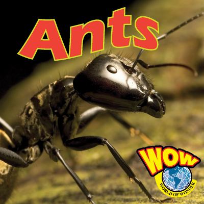 Ants