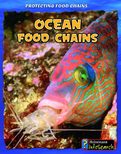 Ocean Food Chains.