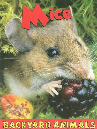 Mice / Backyard Animals