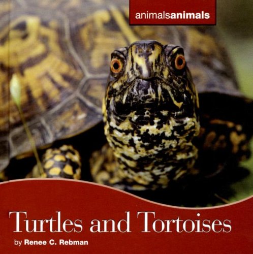 Turtles and tortoises