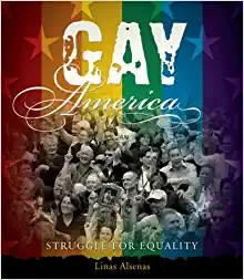 Gay America : struggle for equality /