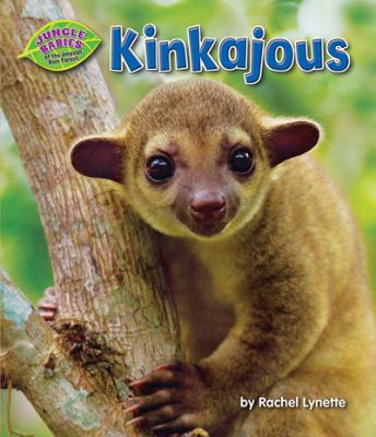 Kinkajous