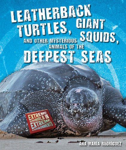 Leatherback turtles, giant squids, and other mysterious animals of the deepest seas