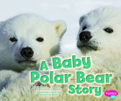 A baby polar bear story