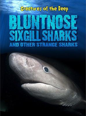 Bluntnose sixgill sharks and other strange sharks