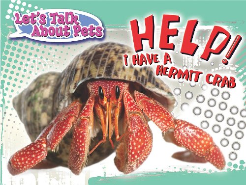 Help! I have a hermit crab