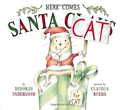 Here comes Santa Cat