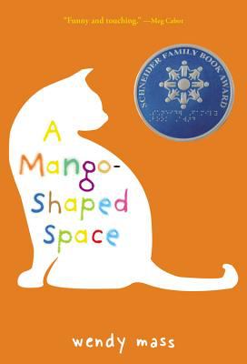 A mango-shaped space : a novel