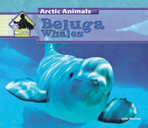 Beluga whales