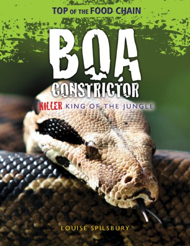 Boa constrictor : killer king of the jungle