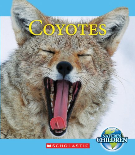 Coyotes