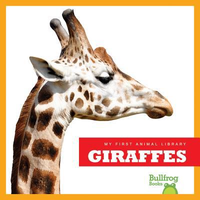 Giraffes