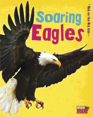 Soaring eagles