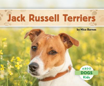 Jack Russell terriers