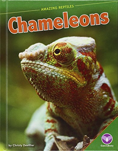 Chameleons : Amazing Reptiles.