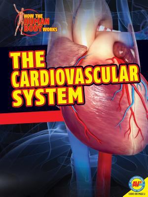 The cardiovascular system