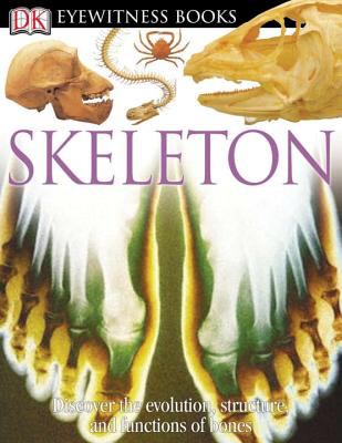 Skeleton