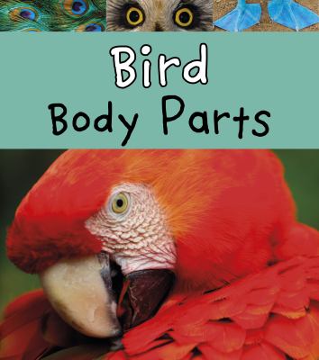 Bird body parts