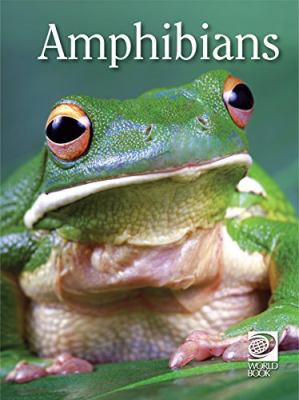Amphibians : Animal Lives.