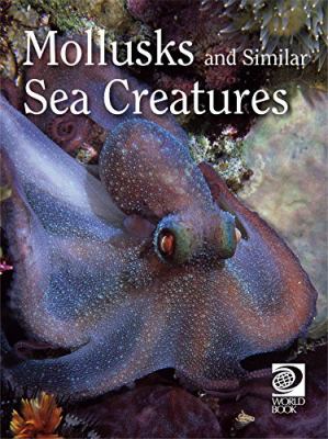 Mollusks and Similar Sea Creatures : Animal Lives.