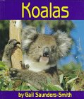 Koalas