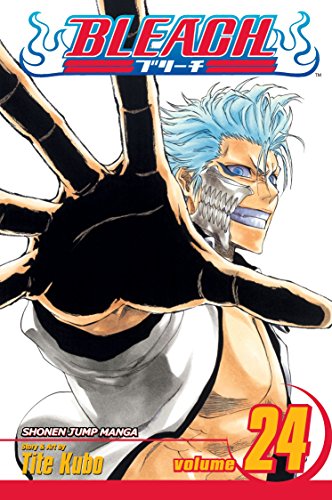 Bleach. 24. Immanent god blues /