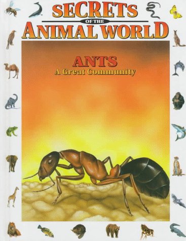 Ants : a great community