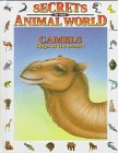 Camels : ships of the desert