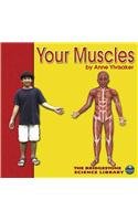 Your muscles