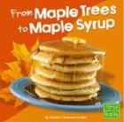 From maple trees to maple syrup