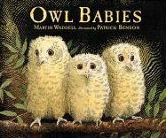 Owl babies