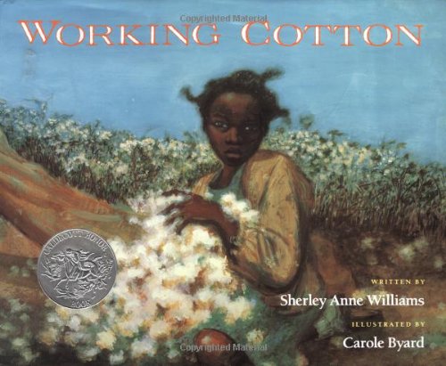 Working cotton