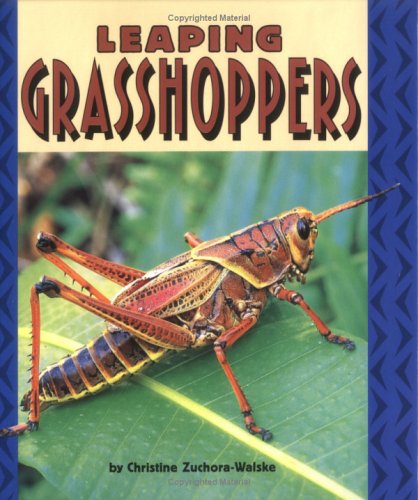 Leaping grasshoppers