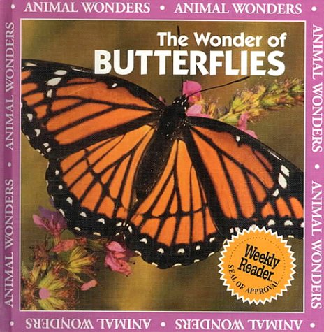 The wonder of butterflies