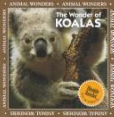 The wonder of koalas